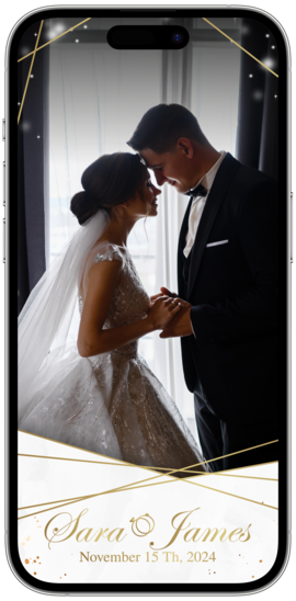 Luxurious Wedding - 2024
