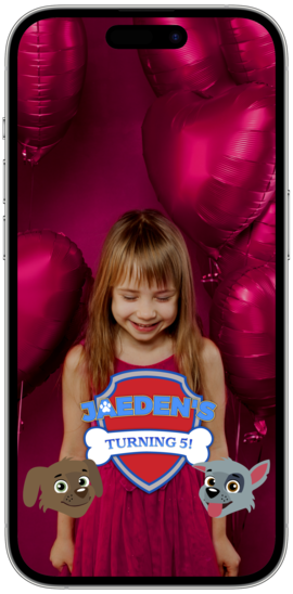 Paw Patrol Themed Birthday